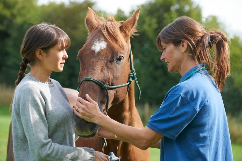 2 women petting horses nose